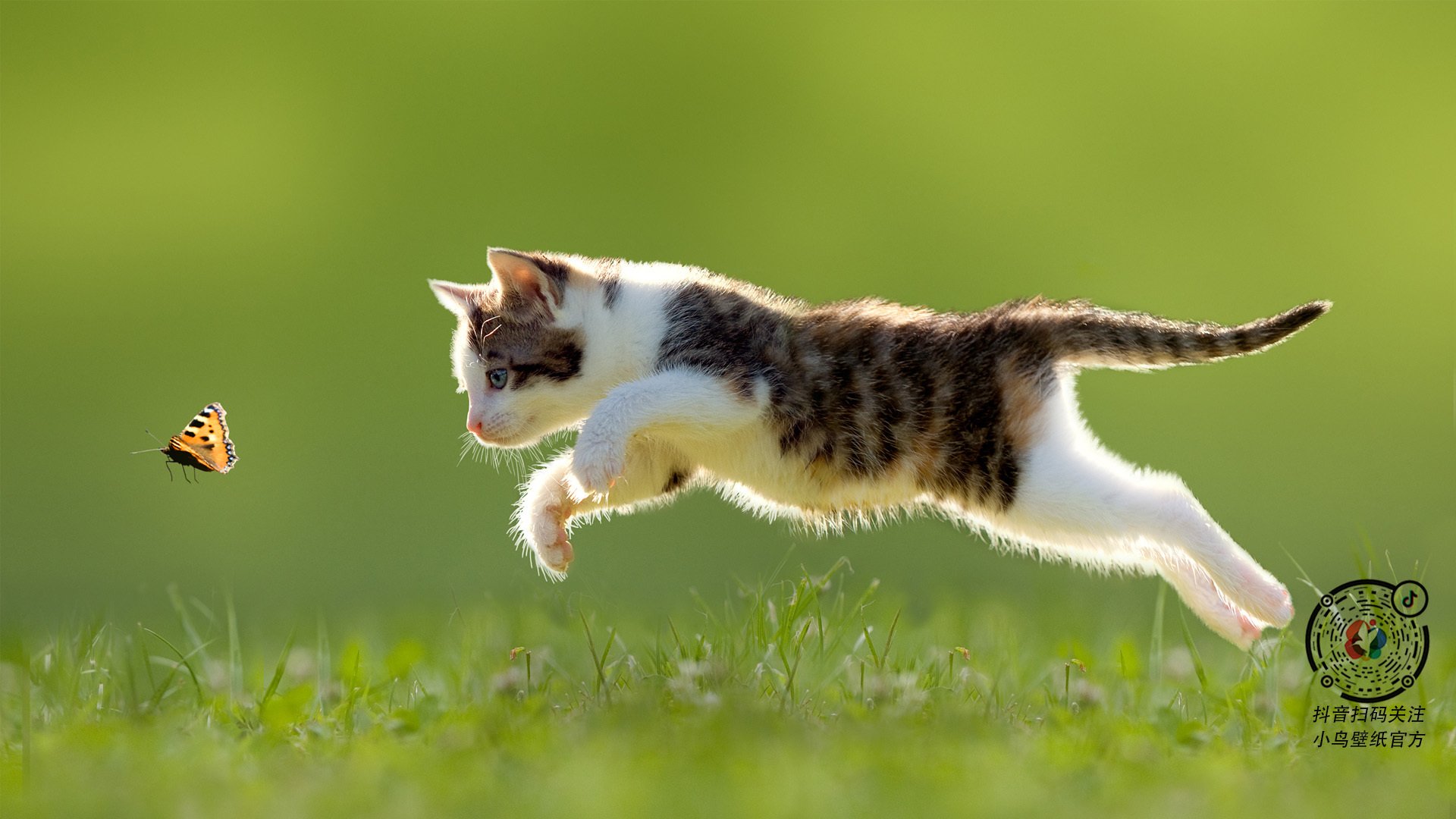 开云·Kaiyun网页版-新疆男篮积极备战强敌提升防守韧性，新疆男篮最新