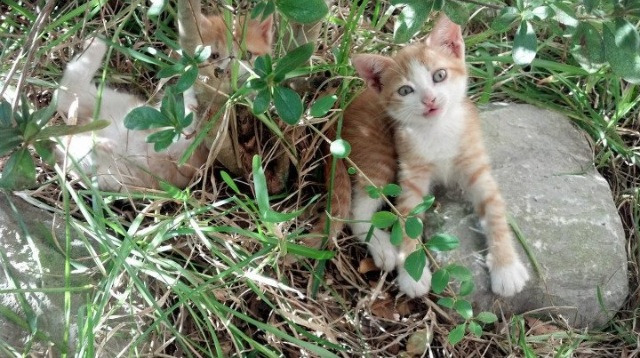 新疆男篮积极备战强敌提升防守韧性，新疆男篮最新