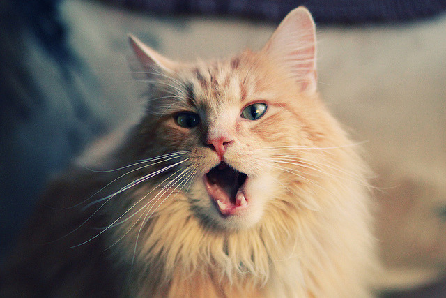 开云网页-混合团体赛制引入乒乓球，赛场对抗更激烈，乒乓球混合团体最新赛制